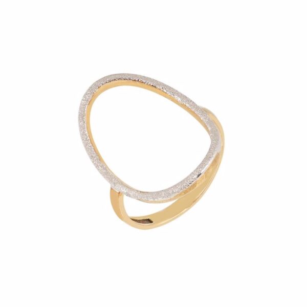 Δαχτυλίδι οβάλ δίχρωμο